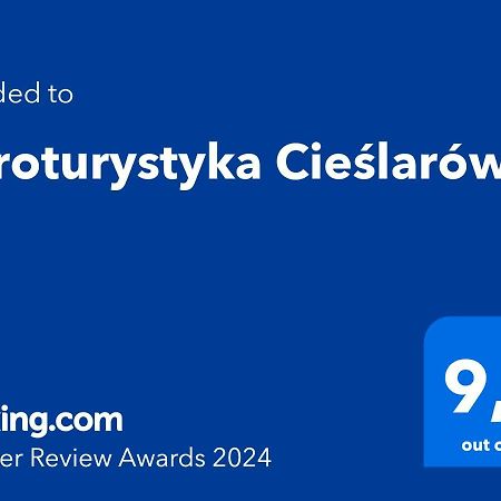 Agroturystyka Cieslarowka Lubawka Εξωτερικό φωτογραφία